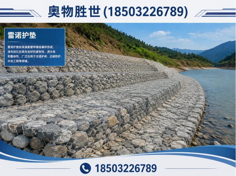 娄底雷诺护垫展示图